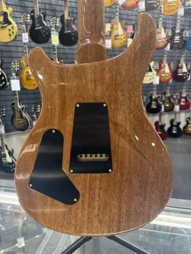 PRS CUSTOM 24 10F AURORA BOREALIS W/CS 2